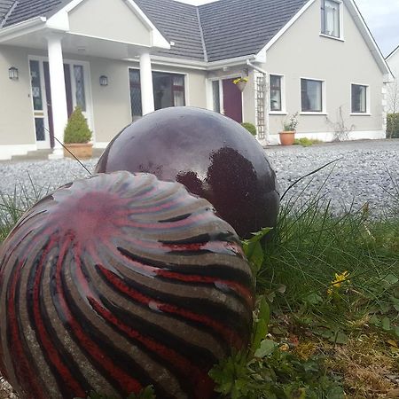 Ely House B&B Shannonbridge Exterior foto