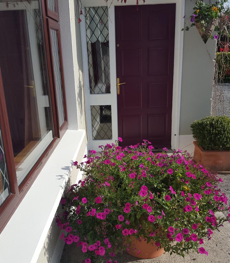 Ely House B&B Shannonbridge Exterior foto