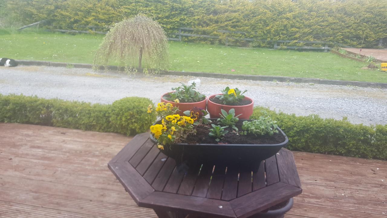 Ely House B&B Shannonbridge Exterior foto